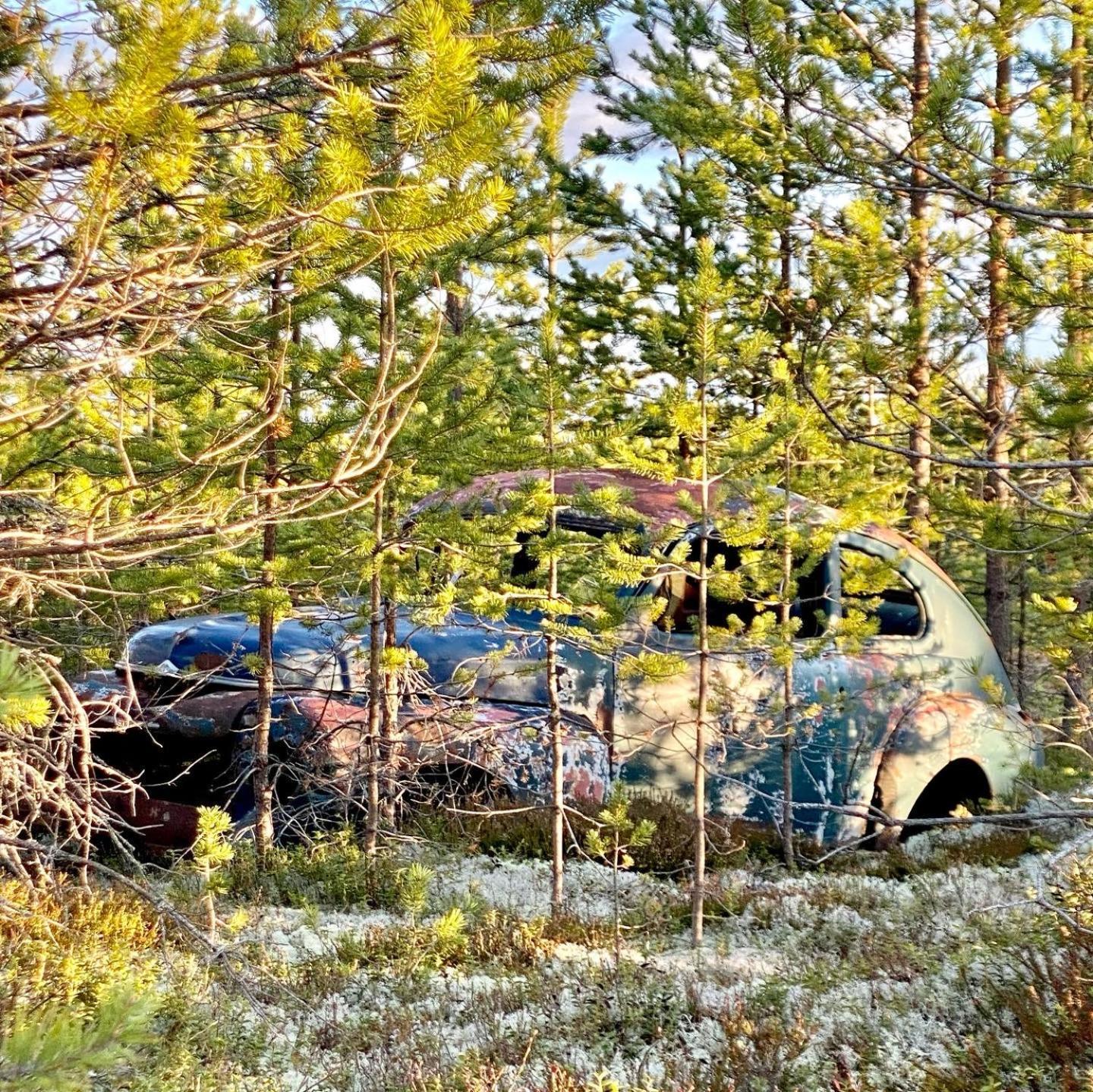 Offroadcamp Ξενοδοχείο Sörsjön Εξωτερικό φωτογραφία